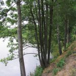 Jihočeský kraj má čtyři nové přírodní památky. Rybníky na Jindřichohradecku
