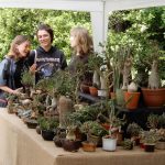 Kvetoucí kaktusy a sukulenty vystavují do pondělí v botanické zahradě v Táboře