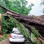 Téměř rok od tragické nehody u Čížové spadl při bouři strom na další auto