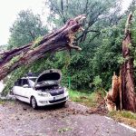 Téměř rok od tragické nehody u Čížové spadl při bouři strom na další auto