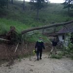 Pondělní bouřka nejvíce zasáhla Jindřichohradecko