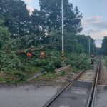 Pondělní bouřka nejvíce zasáhla Jindřichohradecko