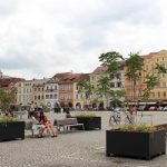 Náměstí Přemysla Otakara II. po letech znovu zdobí stromy