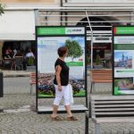 Náměstí Přemysla Otakara II. po letech znovu zdobí stromy