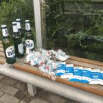 Policejní akce odhalila za volantem ženu bez řidičského průkazu. V autě vezla tři děti a psa