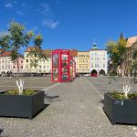 Stromy na českobudějovickém náměstí zvládnou i zimu