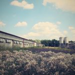 Ministr Baxa se v Letech omluvil za liknavost předchůdců. Začíná demolice vepřína