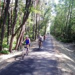 Cyklisty z Třeboně do Staré Hlíny bezpečně zavede nová cyklostezka