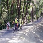 Cyklisty z Třeboně do Staré Hlíny bezpečně zavede nová cyklostezka