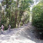 Cyklisty z Třeboně do Staré Hlíny bezpečně zavede nová cyklostezka