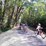 Cyklisty z Třeboně do Staré Hlíny bezpečně zavede nová cyklostezka