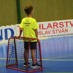 VIDEO: V Milevsku probíhá příměstský sportovní kemp Došwiháček