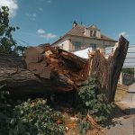 Bouřka zlomila mohutný strom na Pražské