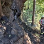 Jihočeští hasiči zasahují v extrémním prostředí skal nad Hřenskem