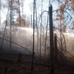 Dobrovolní hasiči z Jindřichova Hradce jeli pomáhat do Českého Švýcarska