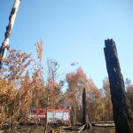 Dobrovolní hasiči z Jindřichova Hradce jeli pomáhat do Českého Švýcarska