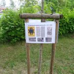 Strakonice hostí od čtvrtka mezinárodní dudácký festival