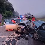 Při ranní nehodě u Strunkovic záchranáři ošetřovali dva zraněné