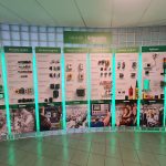 Pro mladé a schopné lidi nabízíme kariérní posun v rámci celého světa, říká HR manažerka Schneider Electric