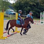 Pony hrátky v hřebčinci přerušil nepříjemný pád dítěte. Naštěstí vše dobře dopadlo