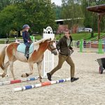 Pony hrátky v hřebčinci přerušil nepříjemný pád dítěte. Naštěstí vše dobře dopadlo
