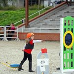 Pony hrátky v hřebčinci přerušil nepříjemný pád dítěte. Naštěstí vše dobře dopadlo