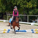 Pony hrátky v hřebčinci přerušil nepříjemný pád dítěte. Naštěstí vše dobře dopadlo