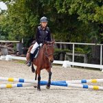 Pony hrátky v hřebčinci přerušil nepříjemný pád dítěte. Naštěstí vše dobře dopadlo