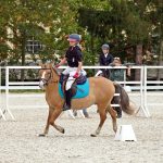 Pony hrátky v hřebčinci přerušil nepříjemný pád dítěte. Naštěstí vše dobře dopadlo