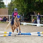Pony hrátky v hřebčinci přerušil nepříjemný pád dítěte. Naštěstí vše dobře dopadlo