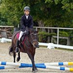 Pony hrátky v hřebčinci přerušil nepříjemný pád dítěte. Naštěstí vše dobře dopadlo