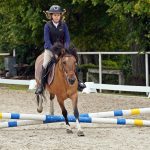 Pony hrátky v hřebčinci přerušil nepříjemný pád dítěte. Naštěstí vše dobře dopadlo