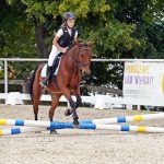 Pony hrátky v hřebčinci přerušil nepříjemný pád dítěte. Naštěstí vše dobře dopadlo