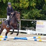 Pony hrátky v hřebčinci přerušil nepříjemný pád dítěte. Naštěstí vše dobře dopadlo