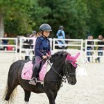 Pony hrátky v hřebčinci přerušil nepříjemný pád dítěte. Naštěstí vše dobře dopadlo
