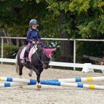 Pony hrátky v hřebčinci přerušil nepříjemný pád dítěte. Naštěstí vše dobře dopadlo