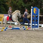Pony hrátky v hřebčinci přerušil nepříjemný pád dítěte. Naštěstí vše dobře dopadlo