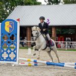 Pony hrátky v hřebčinci přerušil nepříjemný pád dítěte. Naštěstí vše dobře dopadlo