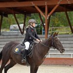 Pony hrátky v hřebčinci přerušil nepříjemný pád dítěte. Naštěstí vše dobře dopadlo