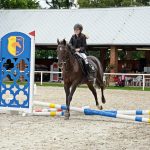 Pony hrátky v hřebčinci přerušil nepříjemný pád dítěte. Naštěstí vše dobře dopadlo