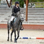 Pony hrátky v hřebčinci přerušil nepříjemný pád dítěte. Naštěstí vše dobře dopadlo