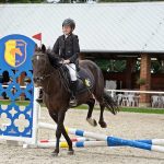 Pony hrátky v hřebčinci přerušil nepříjemný pád dítěte. Naštěstí vše dobře dopadlo