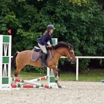 Pony hrátky v hřebčinci přerušil nepříjemný pád dítěte. Naštěstí vše dobře dopadlo