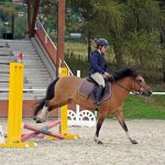Pony hrátky v hřebčinci přerušil nepříjemný pád dítěte. Naštěstí vše dobře dopadlo
