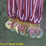 Táborské posádky zvítězily na domácích závodech ve veslování šestnáctkrát