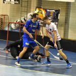 Florbalisté Strakonic v poháru končí, nad jejich síly byl Pelhřimov