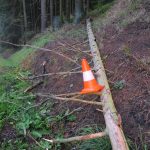 Na jedoucí auto spadl u Horní Vltavice strom. Řidič skončil v nemocnici