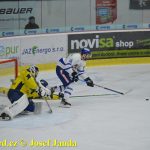 Vítězný vstup do sezony! Kohouti si poradili s pražskou Kobrou