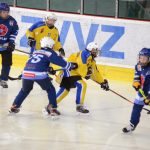 VIDEO: Mladší žáci Milevska byli na dostřel, o vyrovnání bojovali až do konce