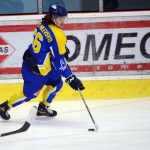 Milevsko si smlslo na krumlovských medvědech, zářil čtyřgólový oslavenec Martin Hraňo